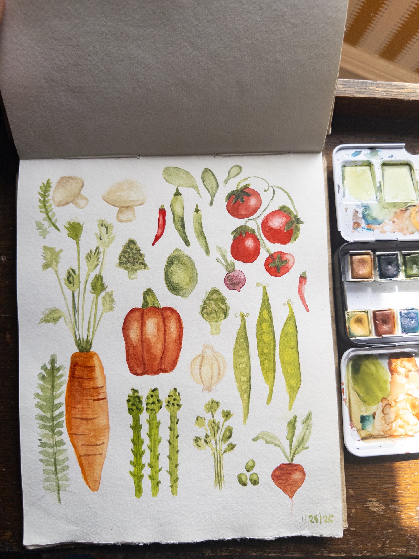 The Veggie Garden Watercolor
