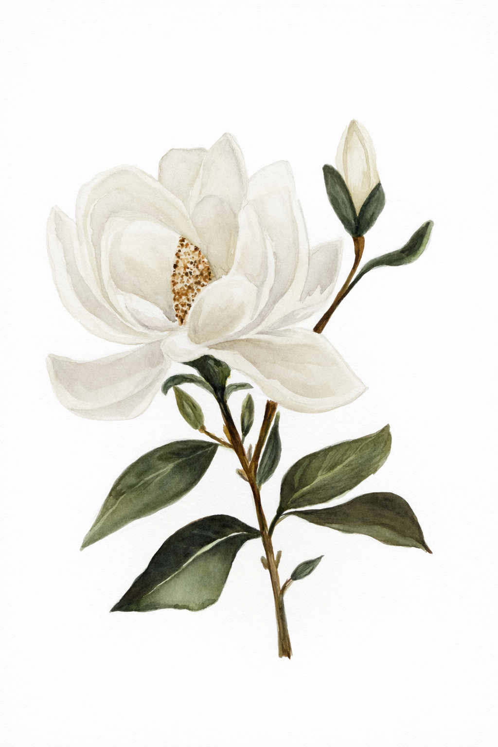Magnolia Print 5x7
