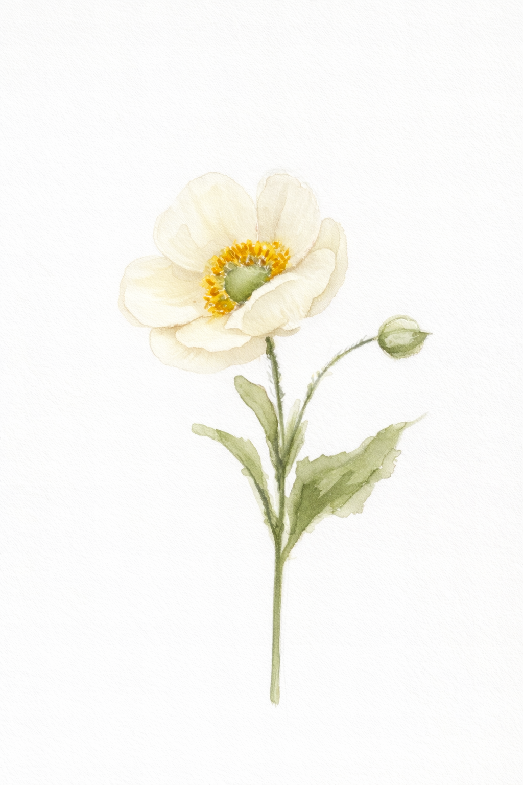 White Poppy Digital Print