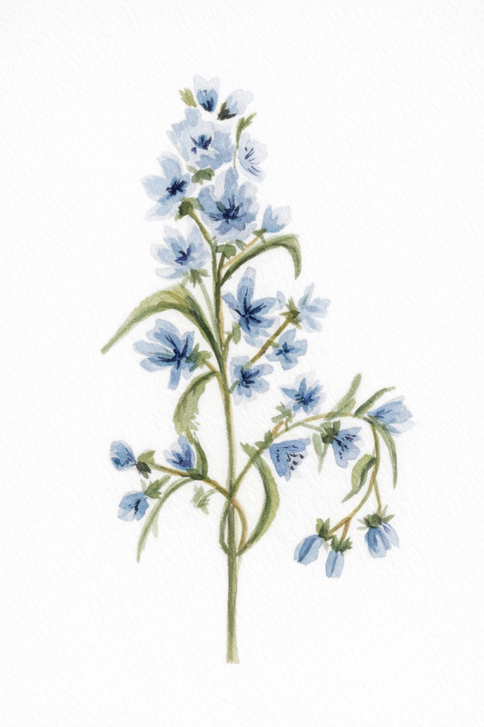 Blue Flowers- 5x7 Print
