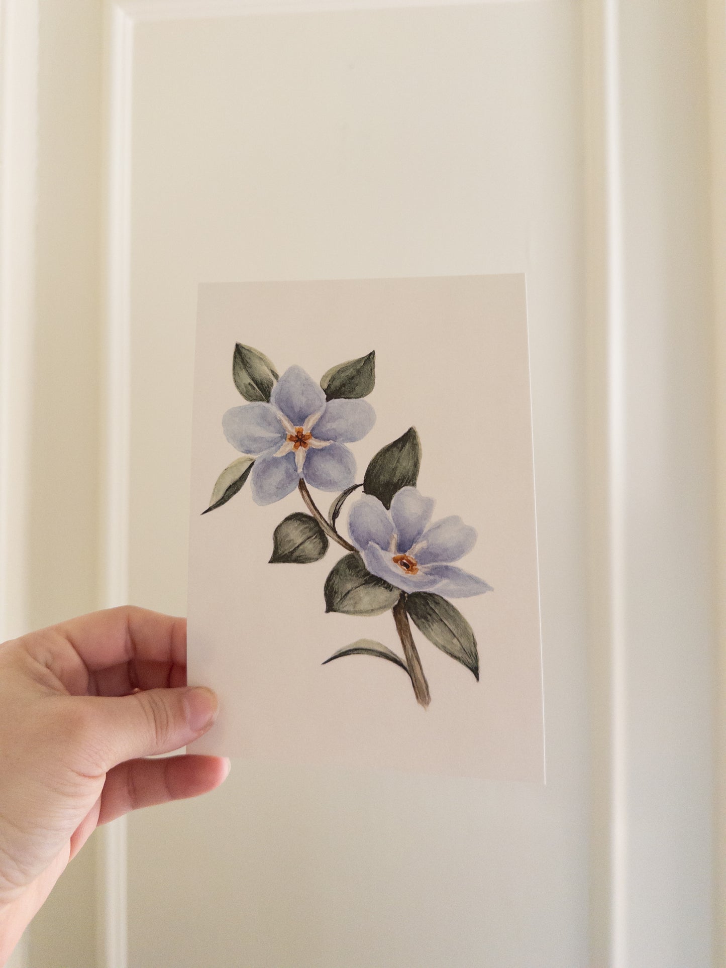Forget-Me-Nots Up Close- Print 5x7
