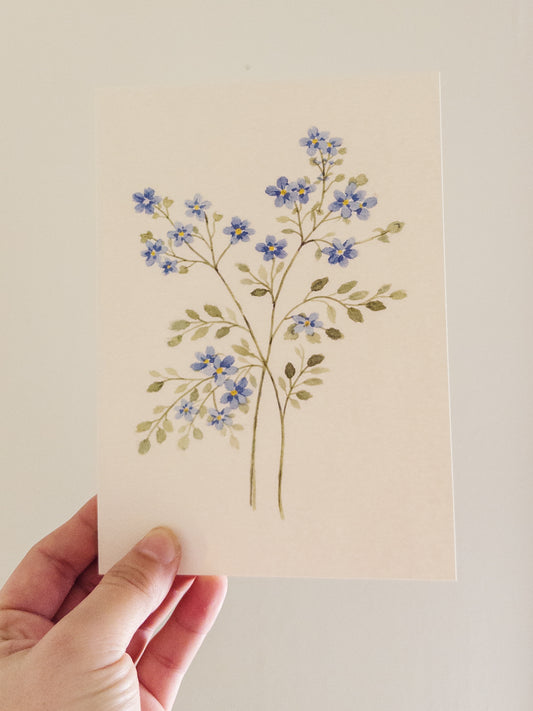 Forget-Me-Not Botanical Watercolor Print