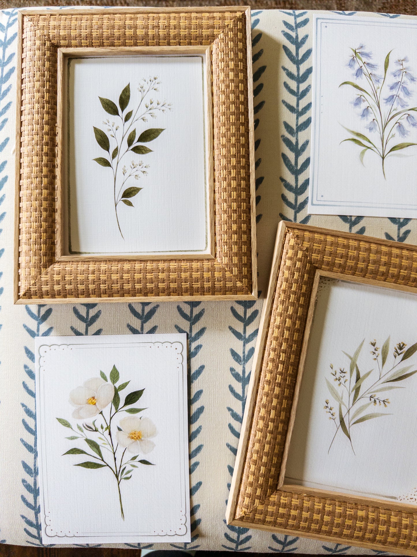 Set of 5 Botanical  5x7 Prints