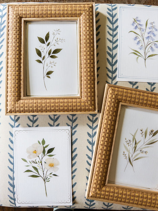 Set of 5 Botanical  5x7 Prints