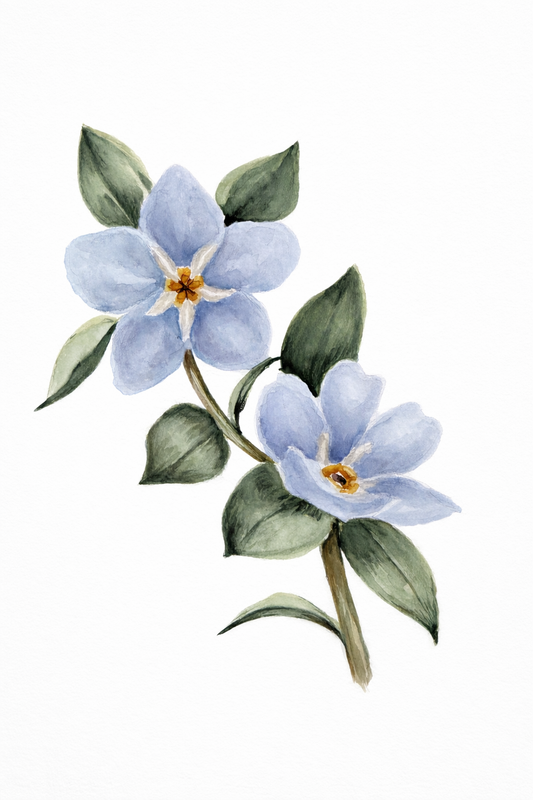Do Not Forget Me- Original Floral Watercolor Painting