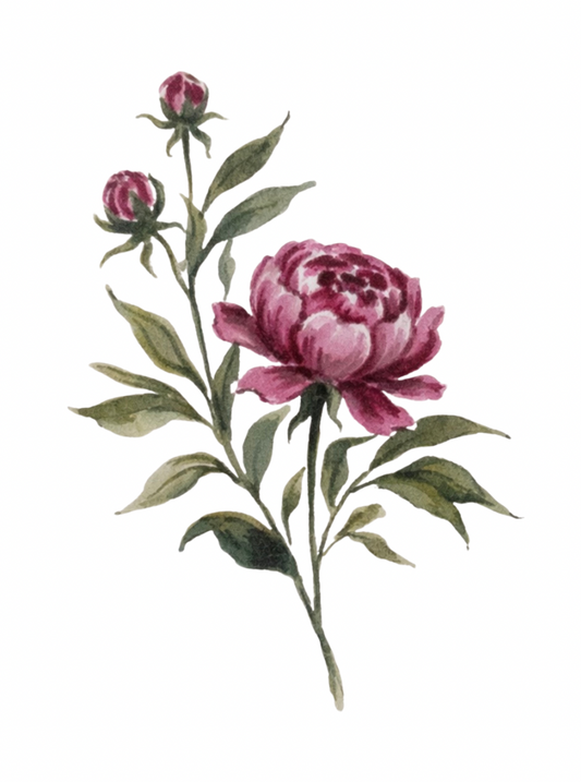 Two pink floral illustrations on a white background