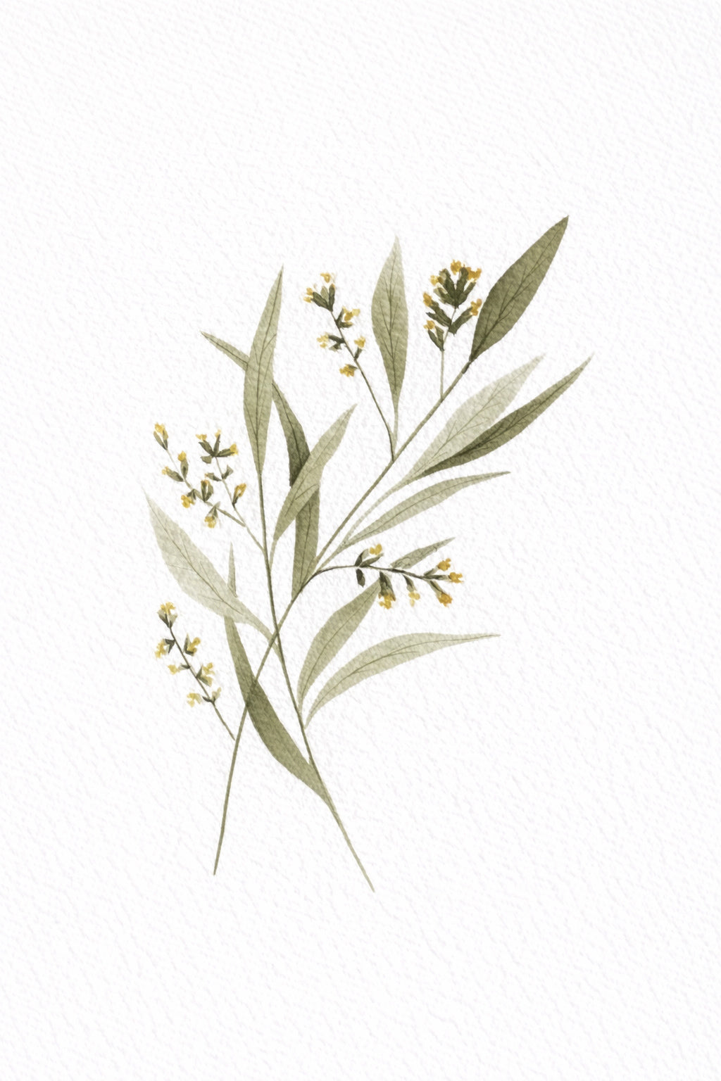 In the Margins 5x7 Botanical Art Print