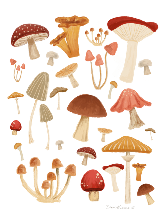 Cute Mushrooms